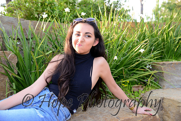 DSC_0553