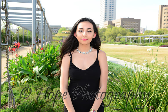 DSC_0385