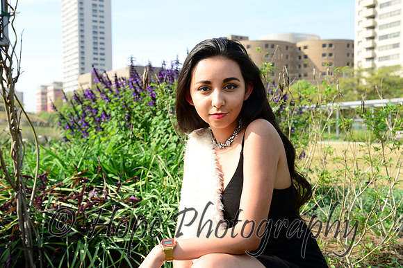 DSC_0382